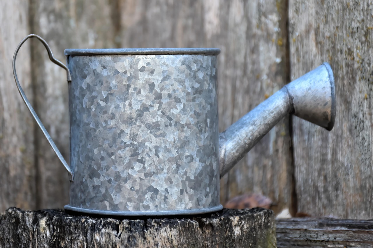 Arrosoirs sur un banc